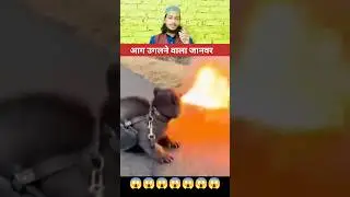 fire-breathing animal #fireanimal #viralshorts