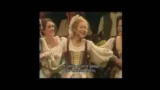 Renata Scotto. &laquo;Non temer: pi&ugrave; nobil spirto&raquo;, Luisa Miller. Verdi. MET 1979.