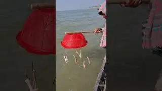 Monster giant fish hunting method by hook yarn #bait #fishing