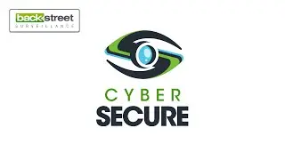 Cyber Secure NVR Interface 05: Display Options | nvr display settings | CCTV camera display Options