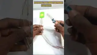 Electricity Flow From Salt water Expremant #shorts #Expremant