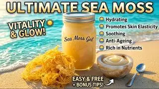 Make Pure Irish Sea Moss Nutrient-Rich Gel from Scratch