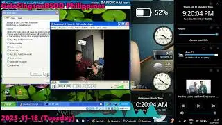 Maui Wowie x Wowowee has BSOD VM (Windows XP)