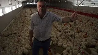 South Africa: The heavy cost of load shedding on farmers