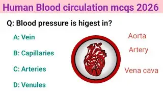 Blood Circulation Mcqs 2026 // Human circulatory system questions