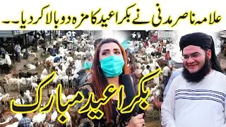 Molana Nasir Madni In Bakra Mandi | Bakra Eid 2022