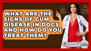 What Are The Signs Of Gum Disease In Dogs And How Do You Treat Them? - Ask A Pet Vet