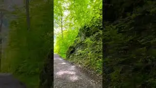 Hiking Life #adventure #trending #discover #explore