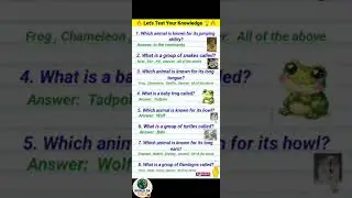 “Word GK Quiz in English | Improve Your Vocabulary with Fun Questions” | GK Questions | Puzzle