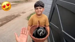 Shayan Ny Ak Or New Gift De Diya Aaj Fir 🥰 || Shehr Main Dihat 
