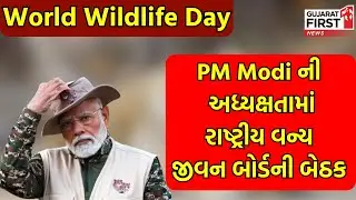 World Wildlife Day નિમિતે PM Modi ની અધ્યક્ષતામાં રાષ્ટ્રીય વન્ય જીવન બોર્ડની બેઠક