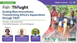 Fish4Thought: Масштабирование «голубых» инноваций: трансформация аквакультуры Африки с помощью TAAT