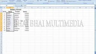 Microsoft Excel 2007-Data=1:Sort