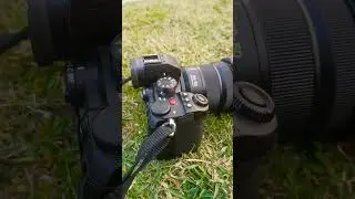 #song #love #shorts #shortvideo #lumix #camera