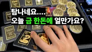 사장님, 오늘 금한돈에 얼마에요?