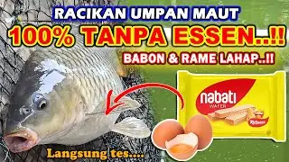 BONGKAR RAHASIA TERBARU !! RACIKAN UMPAN IKAN MAS TANPA ESSEN SPESIAL UNTUK BABON & RAME ❗❗