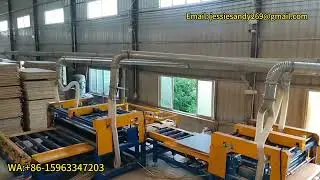 full automatic plywood edge cutting saw machine with high efficient,Plywood DDsaw,WA:+86-15963347203