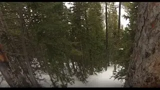 Dangerous woods of Peak 9 Needles Eye double diamond, Breckenridge colorado