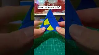 Petal Pyraminx Swap Four Pieces