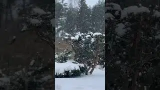 Seems snow will never stop ✋🥶☺️🤍 #asmr #snow #lifeisbutadream #winter #fyp