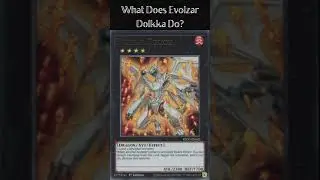 What Does Evolzar Dolkka Do? (Yugioh Cards Explained for Easy Deck Building)