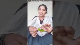 # interesting food# simple and easy # with four ingredients few minutes ready to food test super 🥰