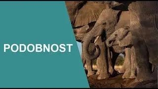 Podobnost