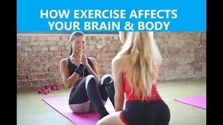HOW EXERCISE AFFECTS YOUR BRAIN & BODY