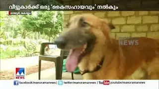 കണ്ണട എടുത്തുകൊടുക്കും; ജനലടയ്ക്കും; അക്കങ്ങള്&zwj; തിരിച്ചറിയും; വീട്ടുകാരനായി ചോട്ടു| Chottu Dog