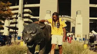 Geaux Yella - LSU (Official Music Video