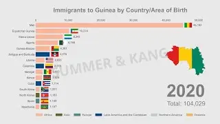 Top 15 Immigrants to Guinea | 1990-2020 | Bar Chart Race | Data Visualisation