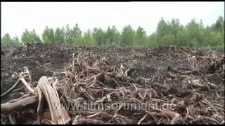 Global Ideas - Nachhaltigkeit weltweit: BELARUS -- NEW PEAT BOGS englisch (Schulfilm-Vorschau)