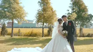 祥傑+佳宜 迎娶&午宴SDE 4K MV (彰化金典宴會館)｜Gees吉事影像｜雙人錄影｜青雲靚水民宿｜婚禮快剪快播