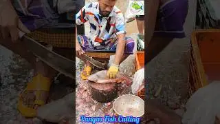 &ldquo;Mastering Fish Cutting Techniques | Stunning Skills Revealed!&rdquo; #asmr #streetfood #seafood #fillet