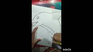 🐬Beautiful Dolphin Drawing🎨