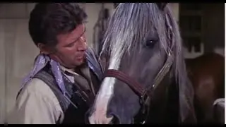 Nick Barkley & Coco ~ The Big Valley ~ Only Time