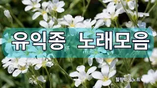 유익종노래모음 #7080 #추척의노래 #유익종