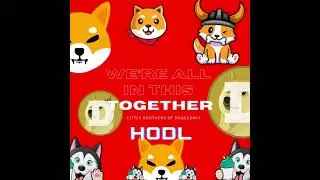 #HUSKY TOKEN  #SHIBAINU - LITTLE BROTHER OF #DOGECOIN -