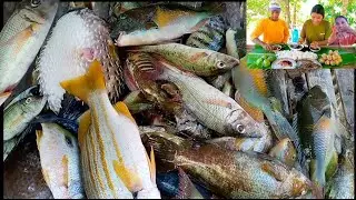 NET FISHING AND COOKING FRESH AND DELICIOUS DISH #islandlife PALAWAN PHILIPPINES