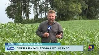 AO VIVO: Balanço Geral Joinville | 04/02/2026 | NDTV RECORD