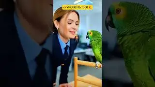 Я вижу трещины в твоём фундаменте!🦜 #sora2 #viral #funny #попугай #прожарка