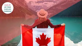 VLOG #1 - UN TOUR CHEZ LES CARIBOUS