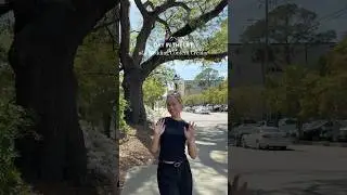 day in the life of a wedding content creator 🤍 #vlog #charleston #weddingcontentcreator #diml