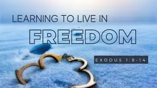 Learning to Live in Freedom