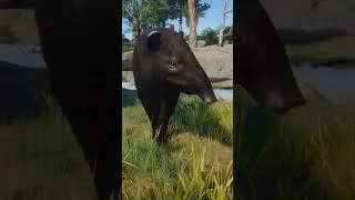 OrangUtans enter Zoos in Sicily #planetzoo #speedbuild