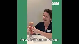 Pelvic Health Physical Therapy Men's Health