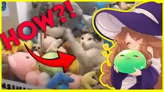 Vtuber Couple takes another daily dose of internet