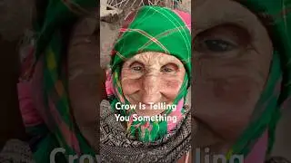 Granny Marmalade Shares Wisdom A Crow Warning