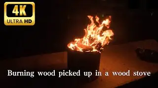[Bonfire] A quiet autumn night, just time to burn some wood you picked up