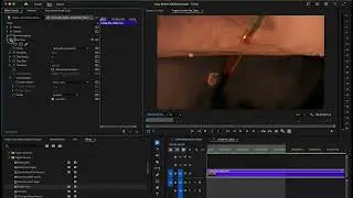 Eliminating Flicker from Slow Motion Video Footage in Adobe Premiere Pro